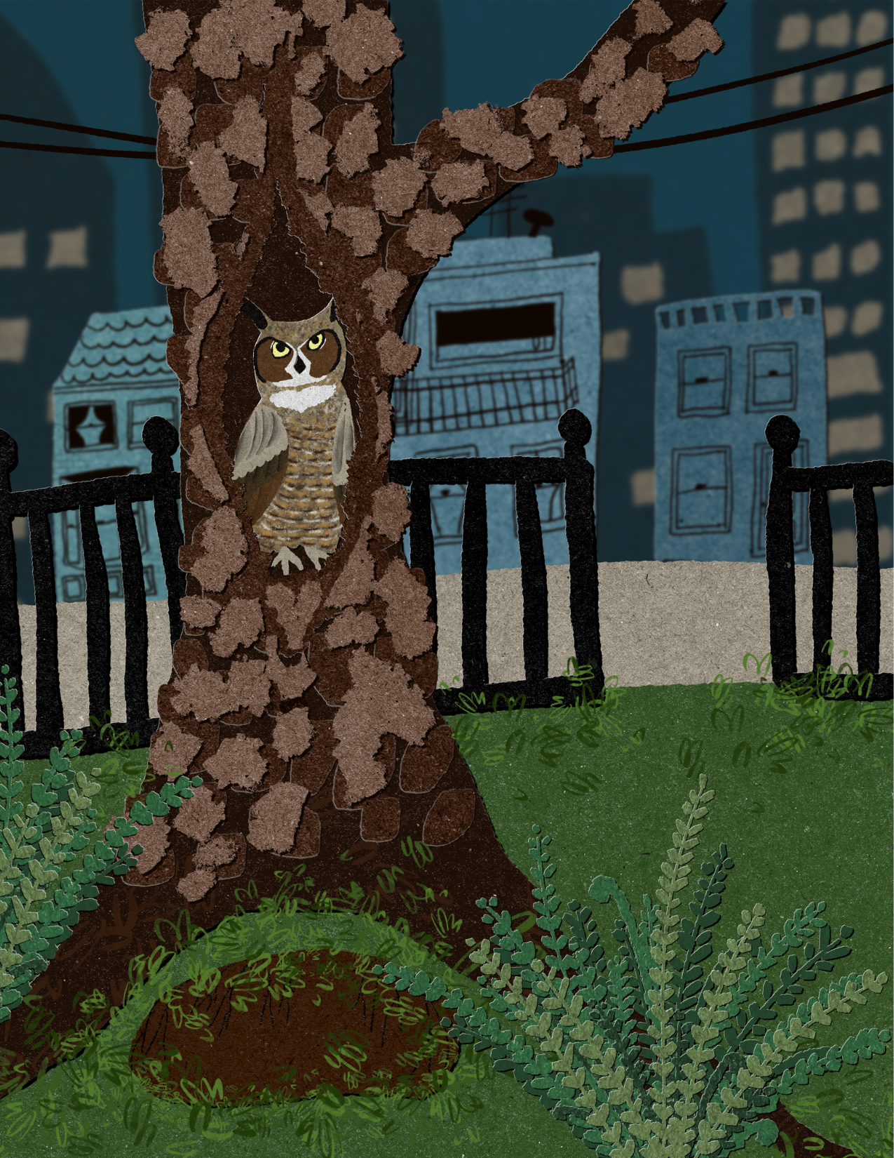 City Night Postcard │ Hand-Illustrated Woodland Evening Print │ Fox, Owl and Cardinal Art, 3 Designs